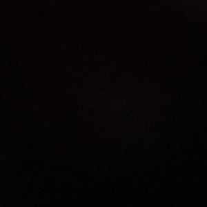 Meet your Posher, Dylan